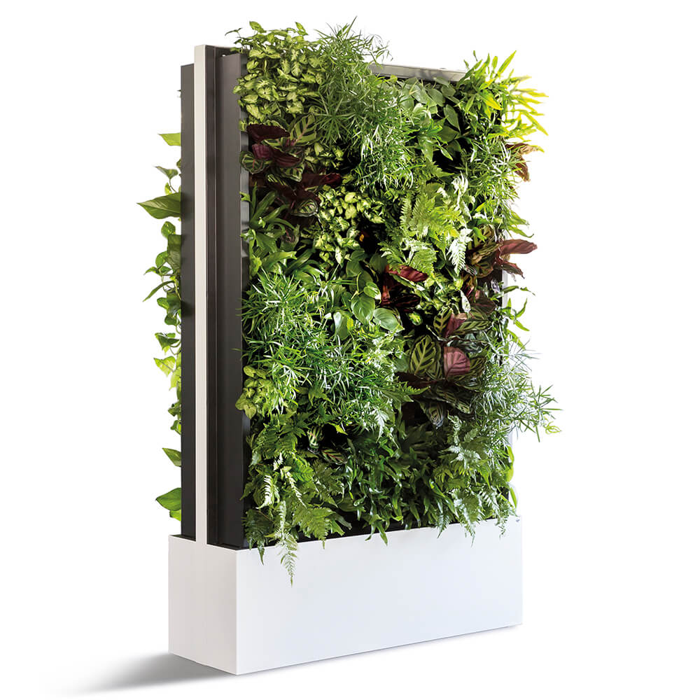 C+P Plantwand