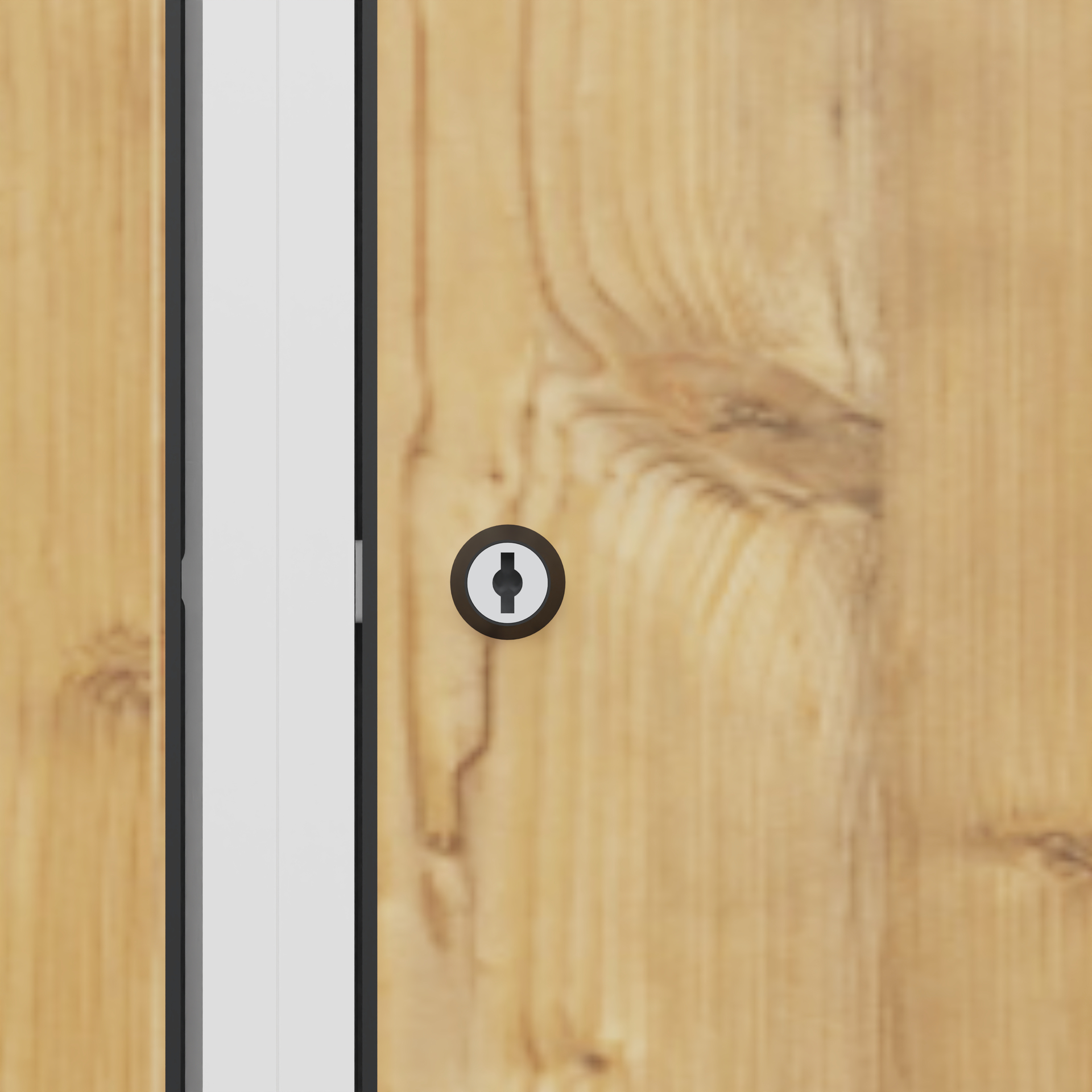 C+P Spind Evolo PLUS, F��e, 1 Abteil, 1950x400x500mm