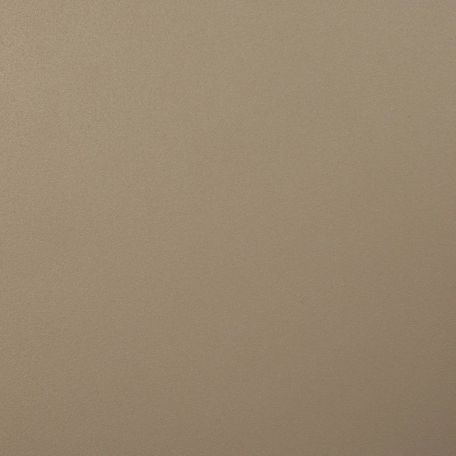 RAL 1019 Graubeige